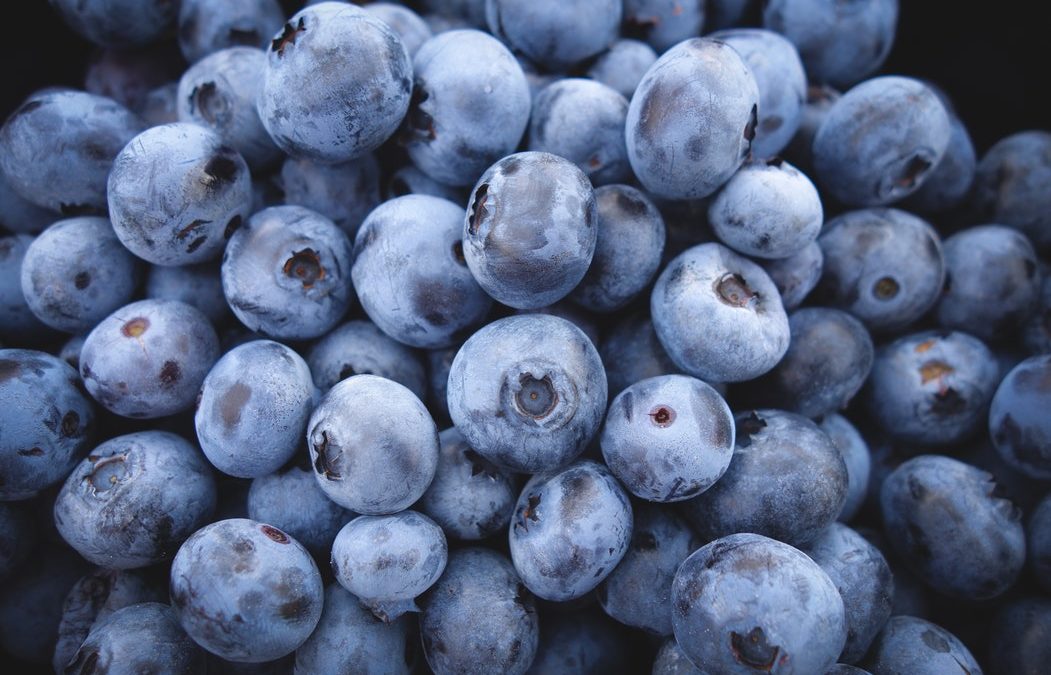 Blueberries Could be Used to Fight Alzheimer’s – Why Flavonoids are so Important For Your Body?